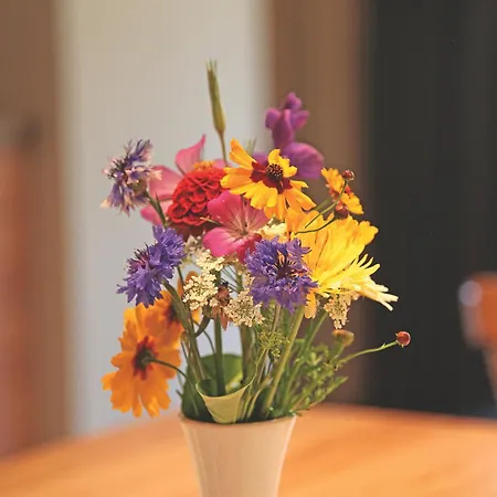 דירה Stockinger B3