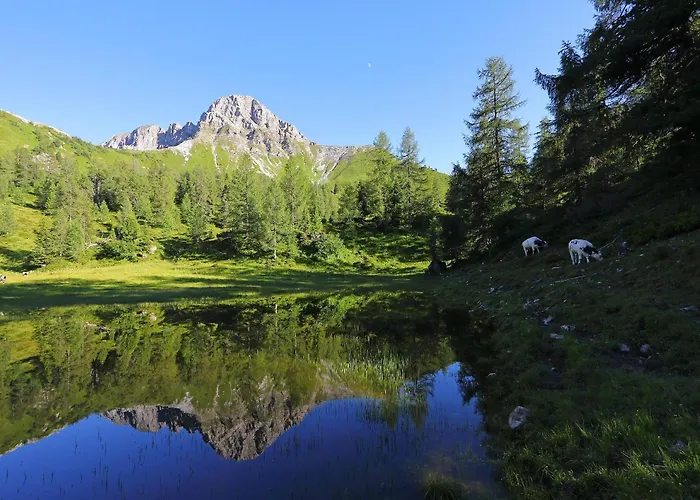 Stockinger B3 아파트 그로살