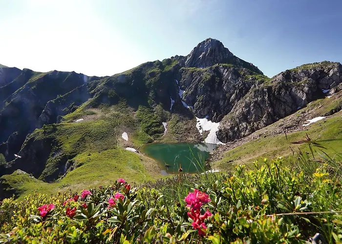 Stockinger B3 * 그로살