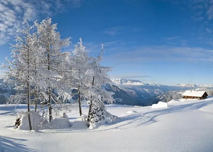 아파트 Stockinger B3 *