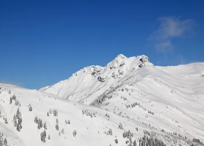 Stockinger B3 아파트 *